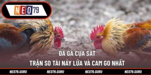 Đá Gà Cựa Sắt