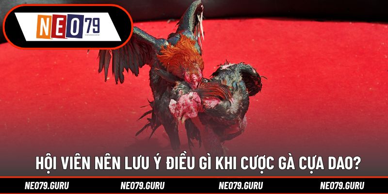 Đá Gà Cựa Dao - Kinh Nghiệm Đánh Kèo Bất Bại Cực Đã 3 Hội viên nên lưu ý điều gì khi cược gà cựa dao?