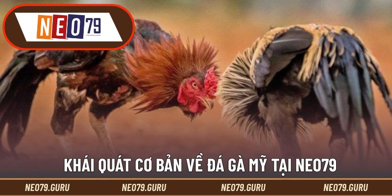 Đá Gà Mỹ Và Cách Đọc Kèo Đỉnh Cao Dành Cho Cược Thủ 1 Khái quát cơ bản về đá gà Mỹ tại Neo79