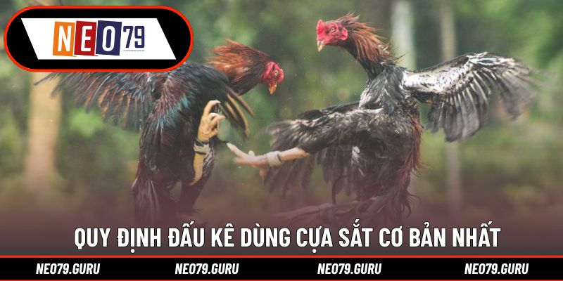 Đá Gà Cựa Sắt - Hình Thức Giải Trí Kịch Tính Hàng Đầu 2 Quy định đấu kê dùng cựa sắt cơ bản nhất