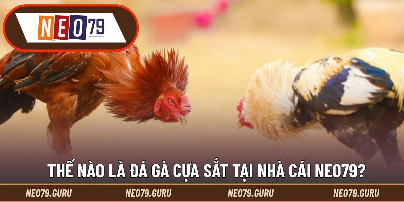 Đá Gà Cựa Sắt - Hình Thức Giải Trí Kịch Tính Hàng Đầu 1 Thế nào là đá gà cựa sắt tại nhà cái Neo79?