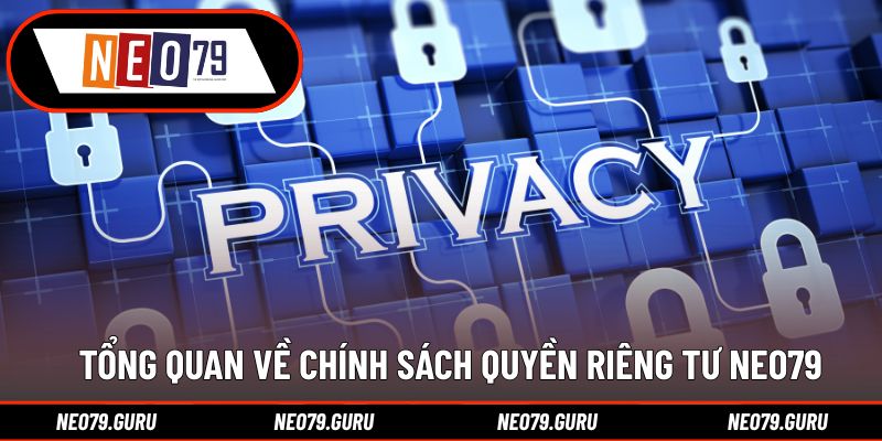 Tổng quan về chính sách quyền riêng tư Neo79